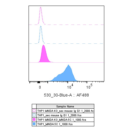 MNDA antibody FC Validation: Gene inactivation