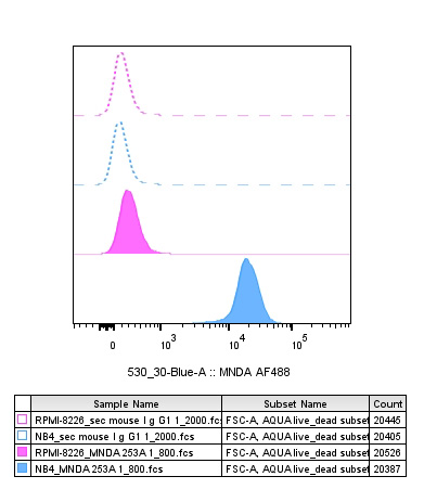 MNDA antibody FC Characterisation: Endogenous expression