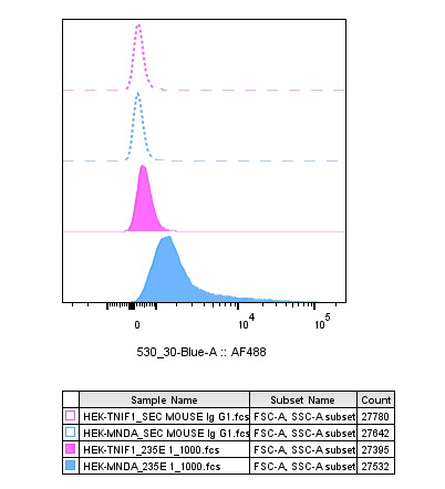 MNDA antibody FC Validation: Over-expression/cross reactivity