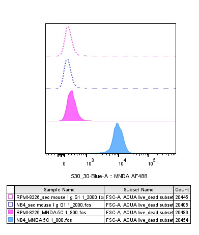 MNDA antibody FC Characterisation: Endogenous expression