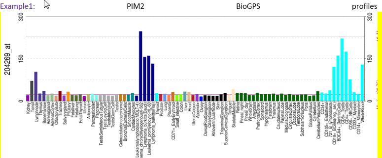 The BioGPS diagram showing PIM2 mRNA expression in tonsil
