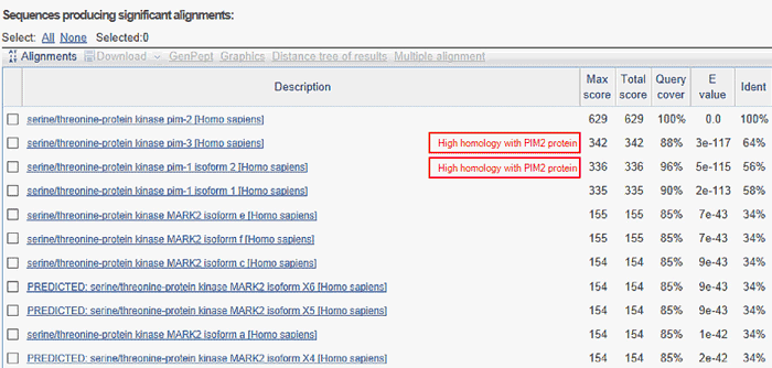 PIM2 homology with family members (PIM1 and PIM2) and related protein