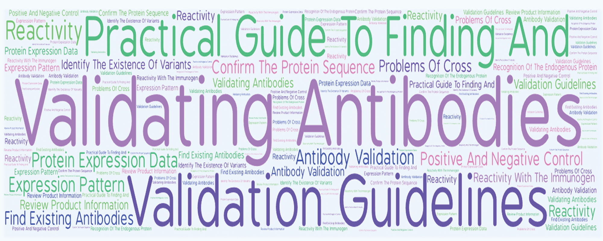 Practical guide to finding and validating suitable antibodies for research