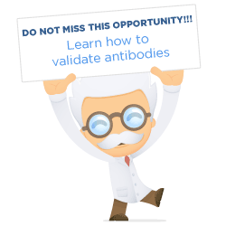 Do not miss this opportunity. Learn how to validate antibodies
