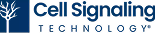 Cell Signaling